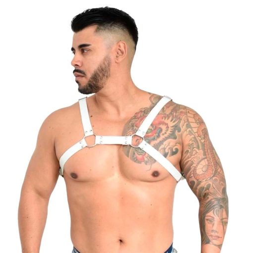 HARNESS