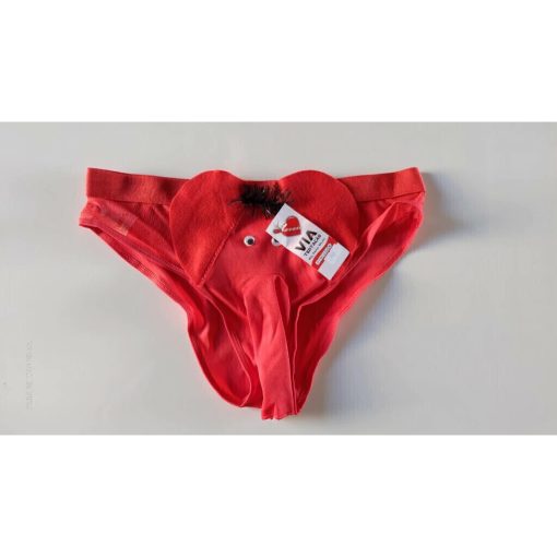 cueca e